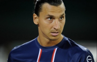 İbrahimoviç Fransa çempionatının ən yaxşı oyunçusu seçildi